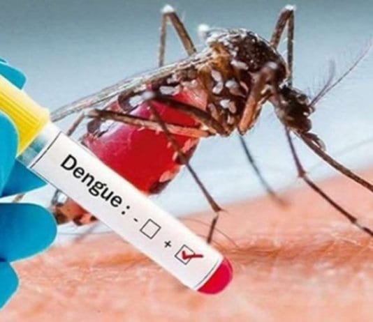 Informaron 162 casos nuevos de dengue en la última semana
