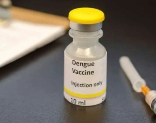DENGUE: El Gobierno incorporará la vacunación en el calendario de forma focalizada