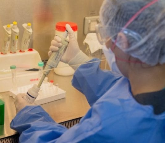 COVID-19: El último registro semanal de casos se mantuvo sin diferencias respecto a la semana pasada