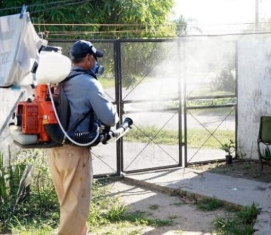 FORMOSA: Casos de dengue de esta semana se mantuvieron igualados a la anterior