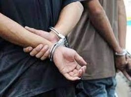 EL ESPINILLO: Dos detenidos por abigeato calificado tras hallazgo de carne de dudosa procedencia en control vehicular