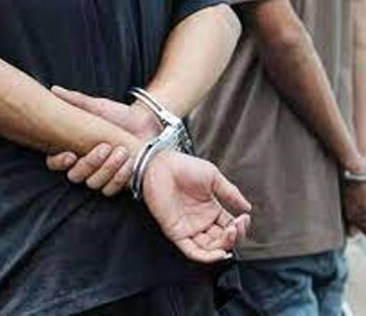 MISIÓN TACAAGLÉ: Dos hombres detenidos por hurto de zapallos en chacra de productor local