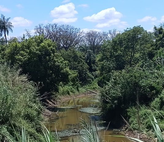LAGUNA NAINECK: El Porteño continúa apto para riego
