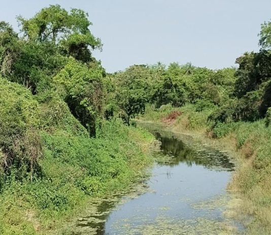 LAGUNA NAINECK: El agua de El Porteño sigue apta para riego