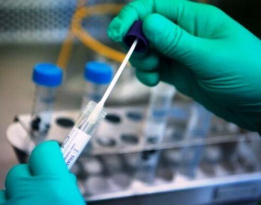 COVID-19: En la última semana se diagnosticaron más de 700 casos