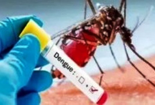 Los casos de dengue registraron un leve aumento en esta semana