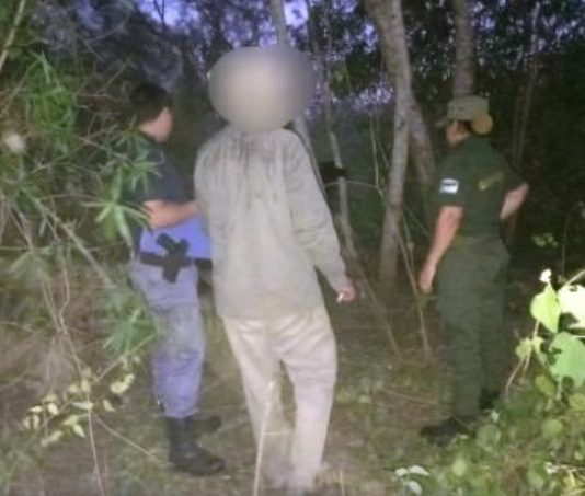 LA PRIMAVERA: Destacada labor policial permitió recuperar un animal vacuno sustraido.