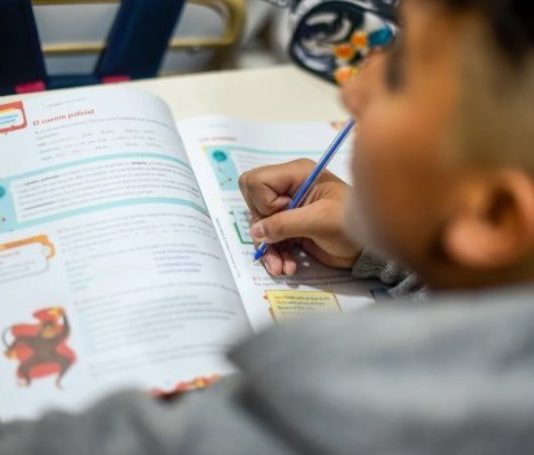 Impulsan el Plan Nacional de Alfabetización a través de la Prueba Aprender