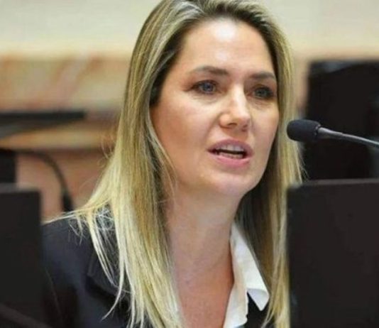 Desde la UCR, la senadora Losada, impulsa una ley para castigar con cárcel a quienes hagan denuncias falsas por violencia de género.