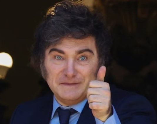 JAVIER MILEI: “En 2025 seguiré a full con la motosierra”