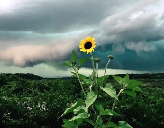 El pronóstico para el jueves: Calor, lluvias y un «río húmedo» estacionario