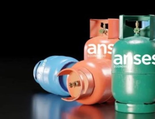 ANSES: cómo saber si cobro el Programa Hogar en noviembre