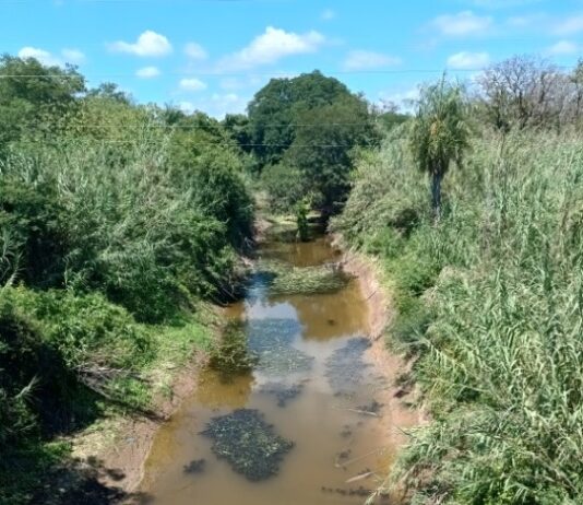 LAGUNA NAINECK: El Porteño, apto para riego