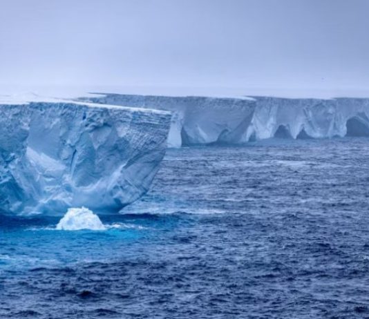 Alertan que el iceberg más grande del mundo, tres veces Nueva York, viaja a la deriva por el mar: qué puede pasar
