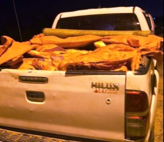 CLORINDA: Detectaron y secuestraron 700 kg de carne vacuna transportada en la caja de una camioneta