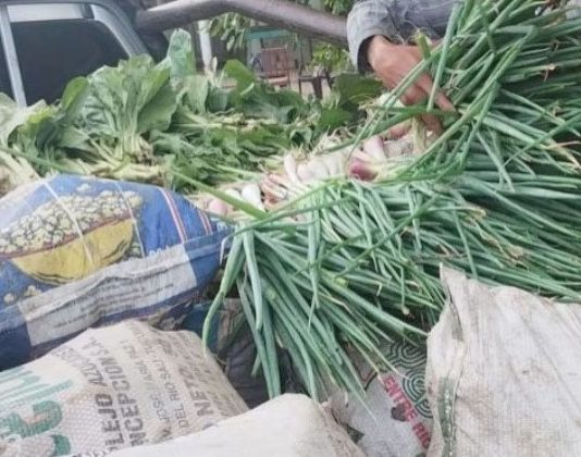 DENUNCIA CONTRA EL GOBIERNO: Panfilo Ayala aseguró que productores no recibieron el pago por sus cosechas