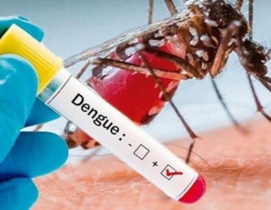 DENGUE: Esta semana cerró con un aumento de casos