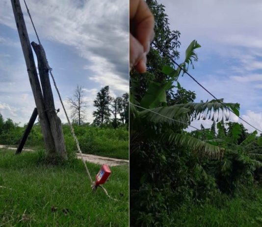 LAGUNA NAINECK. Urgente reclamo de vecinos del B° La Picada; piden arreglo del tendido eléctrico