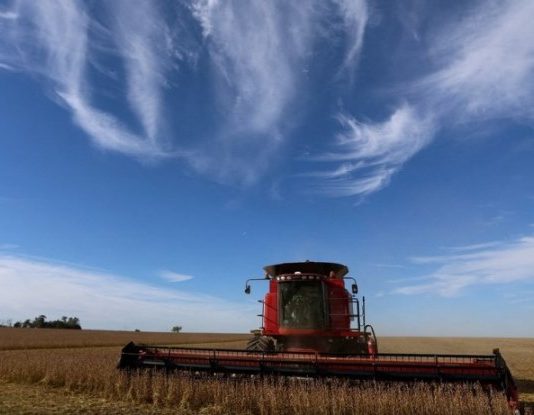 Superávit comercial récord: en 2024 llegó a US$ 18.899 millones de la mano del campo, la energía y las importaciones retraídas