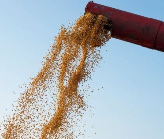 El sector agropecuario exportó por más de US$ 46.000 millones en el 2024