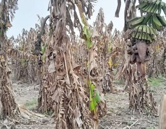 LAGUNA NAINECK. Pánfilo Ayala: «La baja de retenciones es un alivio marginal para los productores de Formosa»