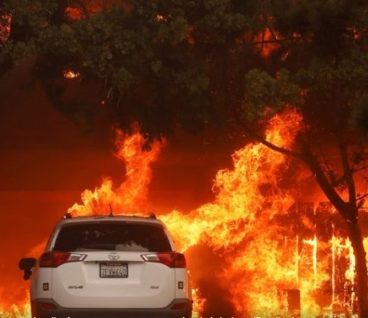 “En shock” y con “pánico”: el escape de las llamas en Los Ángeles, cercada por los incendios