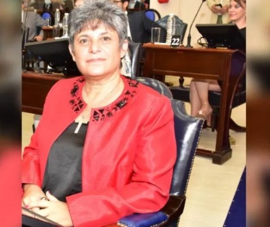 NEME: «La falta de transparencia, los aumentos desmedidos y las desigualdades tarifarias son síntomas de una administración que necesita ser revisada y auditada»