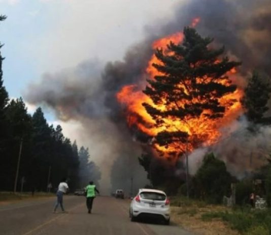 ALERTA EN CHUBUT. Voraz incendio en Epuyén: casas quemadas, miles de hectáreas afectadas y cientos de evacuados