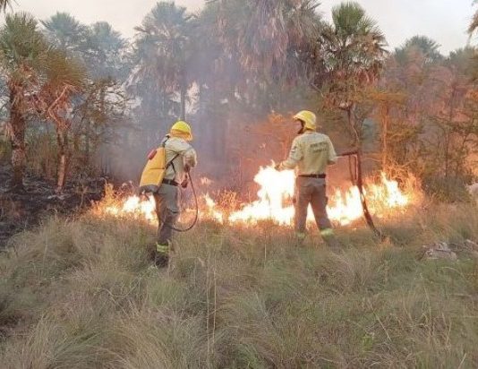 Brindan recomendaciones para prevenir incendios de pastizales