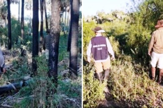 BUENA VISTA: Trabajos Preventivos en zonas rurales en forma conjunta con personal de UEAR