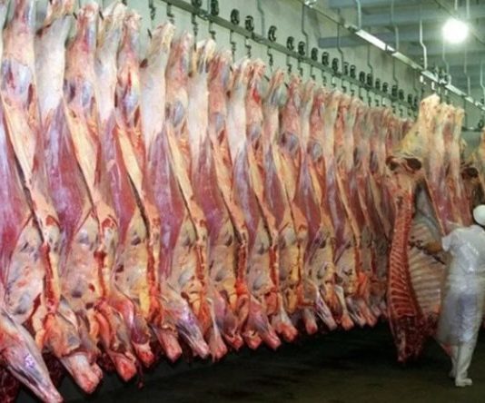 Argentina supera las 900 mil toneladas en exportaciones de carne vacuna en 2024, un hito histórico