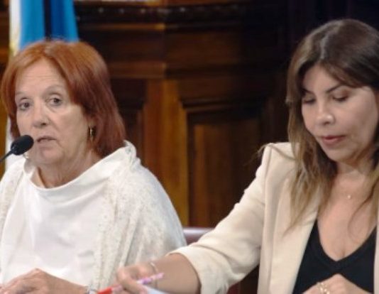 La suspensión de las PASO consiguió dictamen en el Senado y podría aprobarse la semana que viene