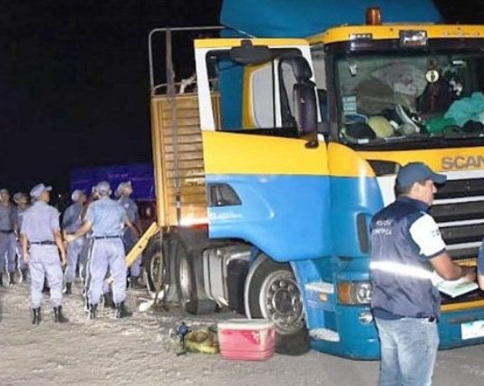 La Policía secuestró más de 24 kilos de cocaína camuflados en un cargamento de banana