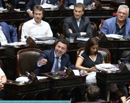 CRIPTOMONEDAS: El PRO bancó a Milei y la UCR pidió investigar