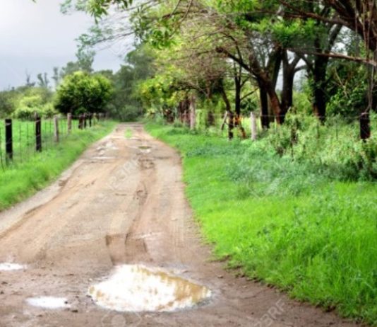 LAGUNA NAINECK: Las lluvias renuevan la esperanza en el campo tras un largo periodo de intenso calor y sequía