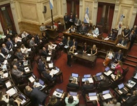 El Senado aprobó la suspensión de las PASO en una sesión cargada de tensiones por el escándalo cripto