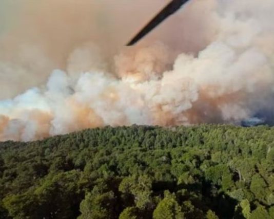 La Sociedad Rural apoyó el proyecto del Gobierno para agravar las penas de quienes provoquen incendios