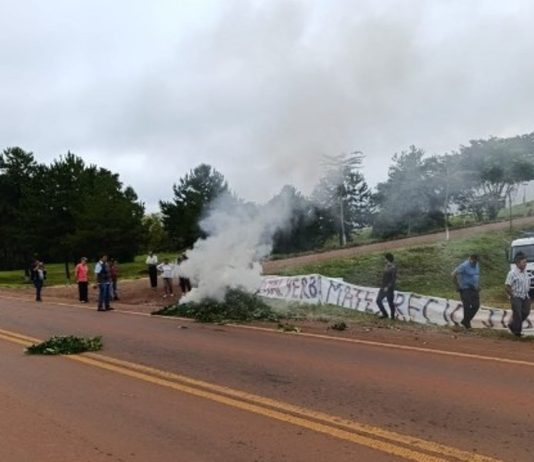 Crisis en una actividad desregulada por Javier Milei: productores queman la yerba que va hacia la industria y podría haber desabastecimiento