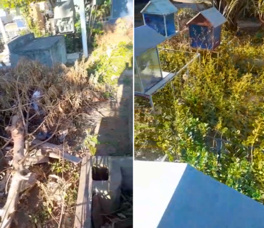 LAGUNA NAINECK: Vecinos denuncian “abandono y suciedad” en el cementerio local