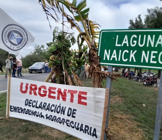 LAGUNA NAINECK: Productores agropecuarios reclamaron la declaración de emergencia y ayuda económica