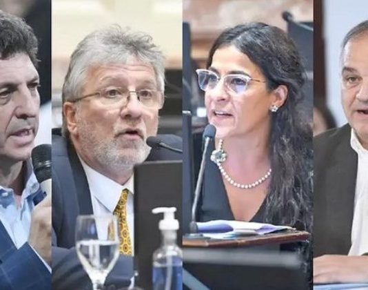 Nace un nuevo bloque peronista en el Senado y se aleja del liderazgo de CFK