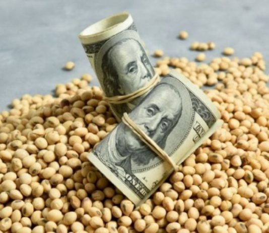 RESERVAS DEL BCRA: Tras la baja de retenciones el agro aportó US$2.181 millones en febrero