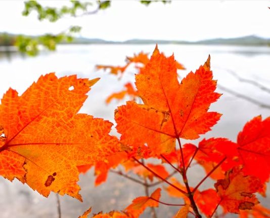 Arrancó el otoño 2025 en Argentina: por qué este año comenzó el 20 de marzo y qué es el equinoccio