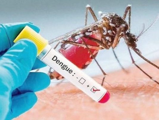 Otro aumento de los casos de dengue fue informado en el cierre de esta semana
