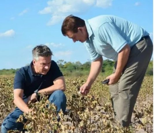 El gobierno declaró la emergencia agropecuaria por 180 días para el Chaco