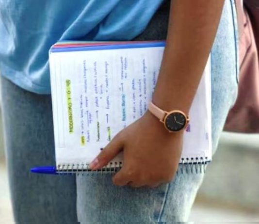 Quiénes pueden inscribirse al Progresar 2025 y sus requisitos