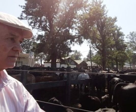 ChaFor también rechazó las declaraciones del ministro de Producción de Formosa Lucas Rodríguez
