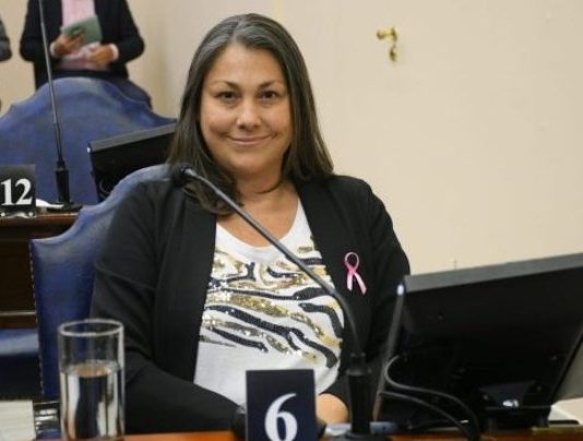 ANA ANKENBRAND: “Los productores están en crisis porque Formosa no tiene un plan productivo y el ministro no conoce más allá de la Cruz”