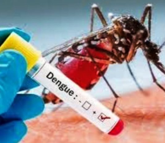 Los casos de dengue presentaron una disminución en el transcurso de esta semana