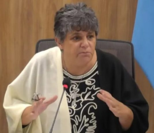 ESCANDALO EN FORMOSA: Neme denunciará a Mereles, al interventor de Canal 11 y a un periodista por violencia de género